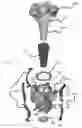Fig. 01 - Self-cleaning valve