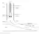 Fig. 02 - Gas assisted downhole pump