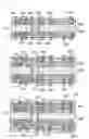 Fig. 19 - Printed wiring board and its manufacturing method