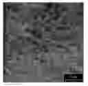 Fig. 01 - Composite coatings for whisker reduction