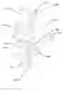 Fig. 01 - Actuating device