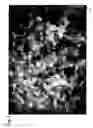 Fig. 04 - Group III nitride compound semiconductor stacked structure