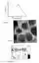 Fig. 08 - Organic memory device with a charge storage layer and method of manufacture