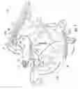 Fig. 02 - Carburetor and automatic choke assembly for an engine
