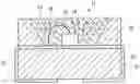 Fig. 01 - Light emitting device and illumination device