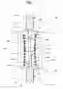 Fig. 02 - Double ended contact probe