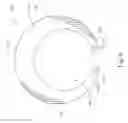 Fig. 07 - Antenna assemblies with tapered loop antenna elements and reflectors