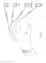 Fig. 02 - UNIVERSAL WEARABLE INPUT AND AUTHENTICATION DEVICE