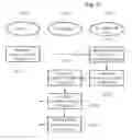 Fig. 08 - Apparatus for Providing Sensing Information