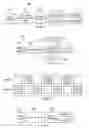 Fig. 02 - Multi-View Display System and Method with Synchronized Views