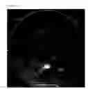 Fig. 06 - Macro inspection apparatus and microscopic inspection method