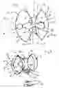 Fig. 02 - Versatile light system