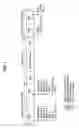 Fig. 02 - Recording medium, and method and apparatus of controlling access to the recording medium