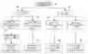 Fig. 01 - Method for adjusting transmission speed of wireless network