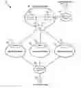 Fig. 01 - System and method of routing voice communications via peering networks