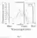 Fig. 08 - Multispectral imaging biometrics
