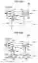 Fig. 33 - Optical add/drop multiplexer