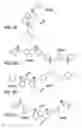 Fig. 06 - Optical determination of glucose utilizing boronic acid adducts