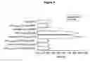 Fig. 09 - Anticoagulation Agent and Uses Thereof