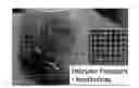 Fig. 01 - ANGIOGENICALLY INDUCED TRANSPLANTS AND METHODS FOR THEIR USE AND MANUFACTURE