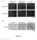 Fig. 09 - THERAPEUTIC METHOD FOR BLOOD COAGULATION DISORDER