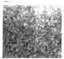 Fig. 07 - Compositions for inhibiting atherosclerosis