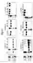 Fig. 49 - POLYPEPTIDES, ANTIBODY VARIABLE DOMAINS & ANTAGONISTS