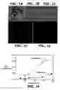 Fig. 02 - Methods and compositions for modulating and detecting wisp activity
