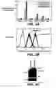 Fig. 03 - Methods and compositions for modulating and detecting wisp activity