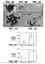 Fig. 04 - Methods and compositions for modulating and detecting wisp activity