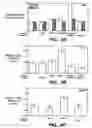 Fig. 05 - Methods and compositions for modulating and detecting wisp activity