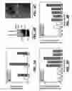 Fig. 06 - Methods and compositions for modulating and detecting wisp activity