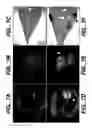 Fig. 09 - Methods and compositions for modulating and detecting wisp activity