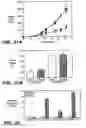 Fig. 27 - Methods and compositions for modulating and detecting wisp activity