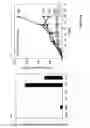 Fig. 29 - Methods and compositions for modulating and detecting wisp activity