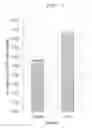 Fig. 09 - Anti FGF23 antibody and a pharmaceutical composition comprising the same