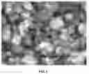 Fig. 02 - LITHIUM IRON(II) PHOSPHATE CATHODE ACTIVE MATERIAL