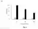 Fig. 07 - Compositions and Methods for Generation of Infectious Hepatitis C Virus in Immortalized Human Hepatocytes