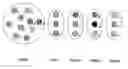 Fig. 01 - METHOD FOR IDENTIFYING THE ORIGIN OF A COMPOUND BIOLOGICAL PRODUCT