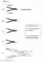 Fig. 02 - Preparation of templates for methylation analysis