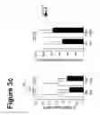 Fig. 09 - Means and Methods for the Prediction of Joint Destruction
