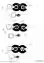 Fig. 04 - Modified peptide substrate