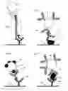 Fig. 02 - RAPID MAGNETIC FLOW ASSAYS