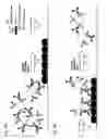 Fig. 04 - RAPID MAGNETIC FLOW ASSAYS
