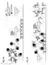 Fig. 06 - RAPID MAGNETIC FLOW ASSAYS