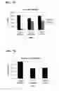 Fig. 08 - ONE-STEP TARGET DETECTION ASSAY