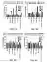 Fig. 02 - BIOMARKERS FOR PREDICTING THE SENSITIVITY OF CELLS TO IMMUNOMODULATORY COMPOUNDS DURING TREATMENT OF NON-HODGKIN'S LYMPHOMA