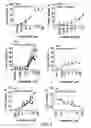 Fig. 06 - BIOMARKERS FOR PREDICTING THE SENSITIVITY OF CELLS TO IMMUNOMODULATORY COMPOUNDS DURING TREATMENT OF NON-HODGKIN'S LYMPHOMA