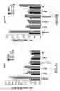 Fig. 10 - BIOMARKERS FOR PREDICTING THE SENSITIVITY OF CELLS TO IMMUNOMODULATORY COMPOUNDS DURING TREATMENT OF NON-HODGKIN'S LYMPHOMA