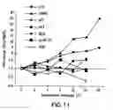 Fig. 12 - BIOMARKERS FOR PREDICTING THE SENSITIVITY OF CELLS TO IMMUNOMODULATORY COMPOUNDS DURING TREATMENT OF NON-HODGKIN'S LYMPHOMA
